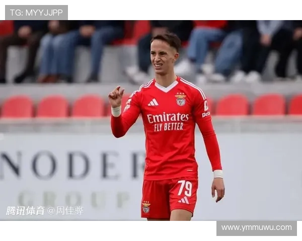 本菲卡战术体系