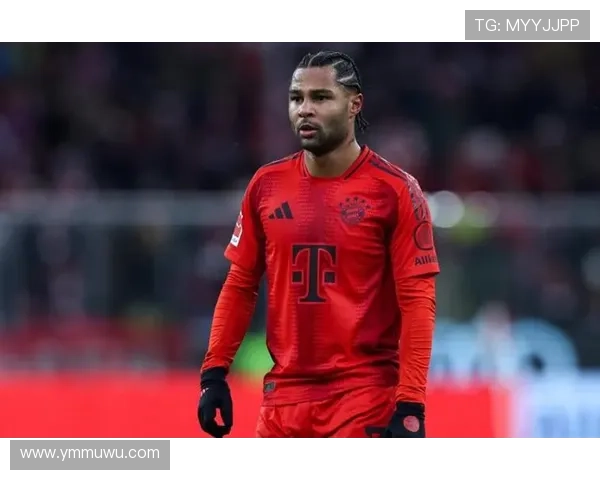 格纳布里在拜仁角色