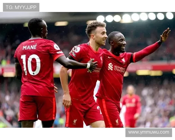 伯恩利逼抢体系 伯恩利逼抢体系