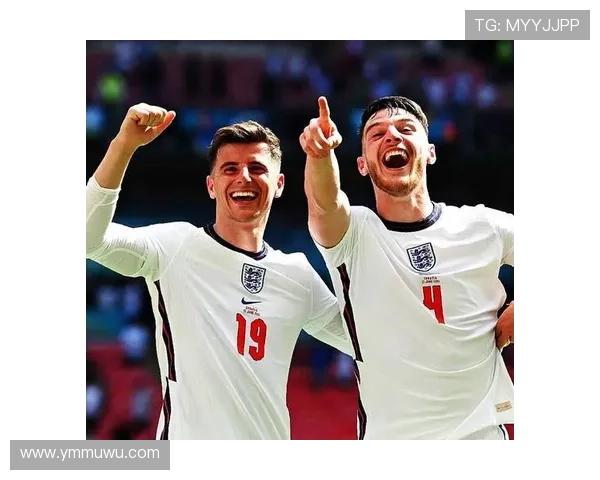 赖斯是否只是纯防守型中场？战术角色与全能性解析